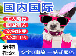 南京禄口航空货运国际宠物托运 【国